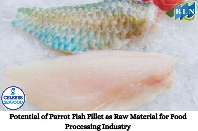 Potential of Parrot Fish Fillet as Raw Material for Food Processing Industry